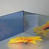 reflective glass coated glass energy saving glass